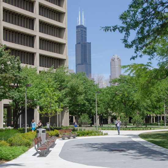 East Campus view of Chicago Skyline