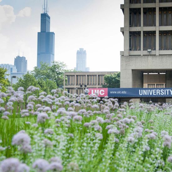 UIC East Campus Flowers and Chicago Skyline